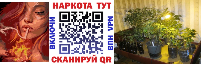 Виды наркотиков купить Михайловка KRAKEN ссылки  Бошки Шишки  АМФЕТАМИН  Мефедрон  Гашиш 
