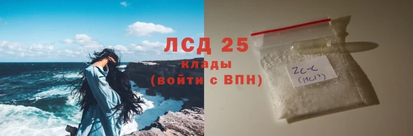 ГАЛЛЮЦИНОГЕННЫЕ ГРИБЫ Ладушкин