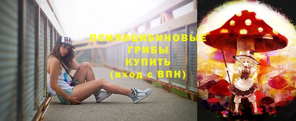 молекула духа Куйбышев
