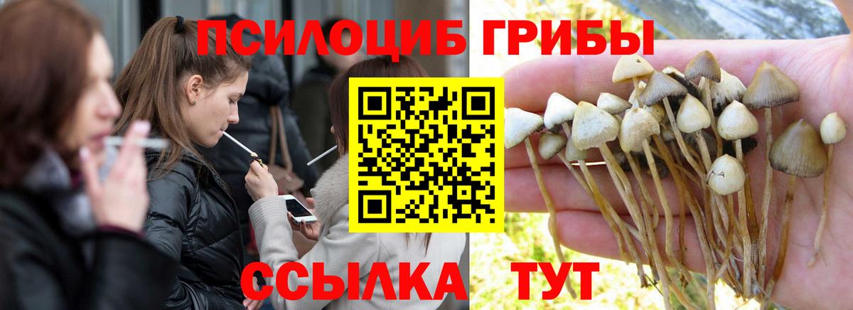 Михайловка  Псилоцибиновые грибы мицелий  Галлюциногенные грибы MAGIC MUSHROOMS  Вход с VPN 