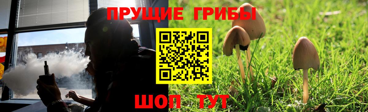 Псилоцибиновые грибы MAGIC MUSHROOMS Михайловка