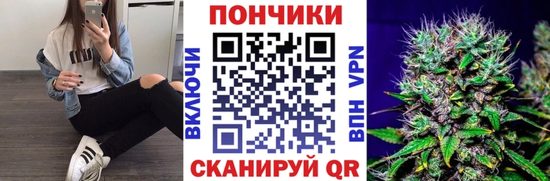 Бошки марихуана THC 21%  кракен как войти  Михайловка 