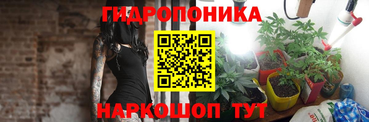 Михайловка  Марихуана OG Kush  Каннабис SATIVA & INDICA  Бошки Шишки планчик  Вход с VPN 